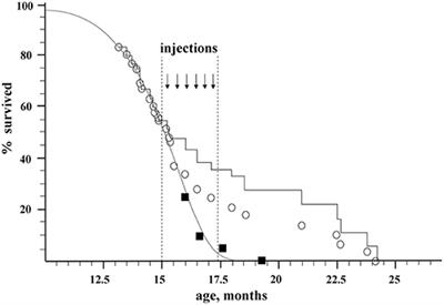 Extension of Maximal Lifespan and High Bone Marrow Chimerism After Nonmyeloablative Syngeneic Transplantation of Bone Marrow From Young to Old Mice